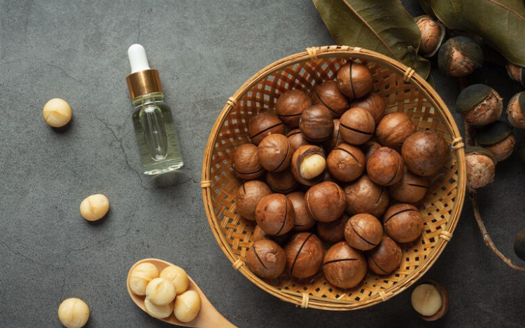 Macadamia Yağı: Doğanın Sağlık ve Güzellik Sunan Mucizesi