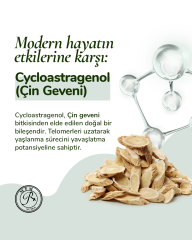 MFM AS5 - 30 Bitkisel Kapsül
