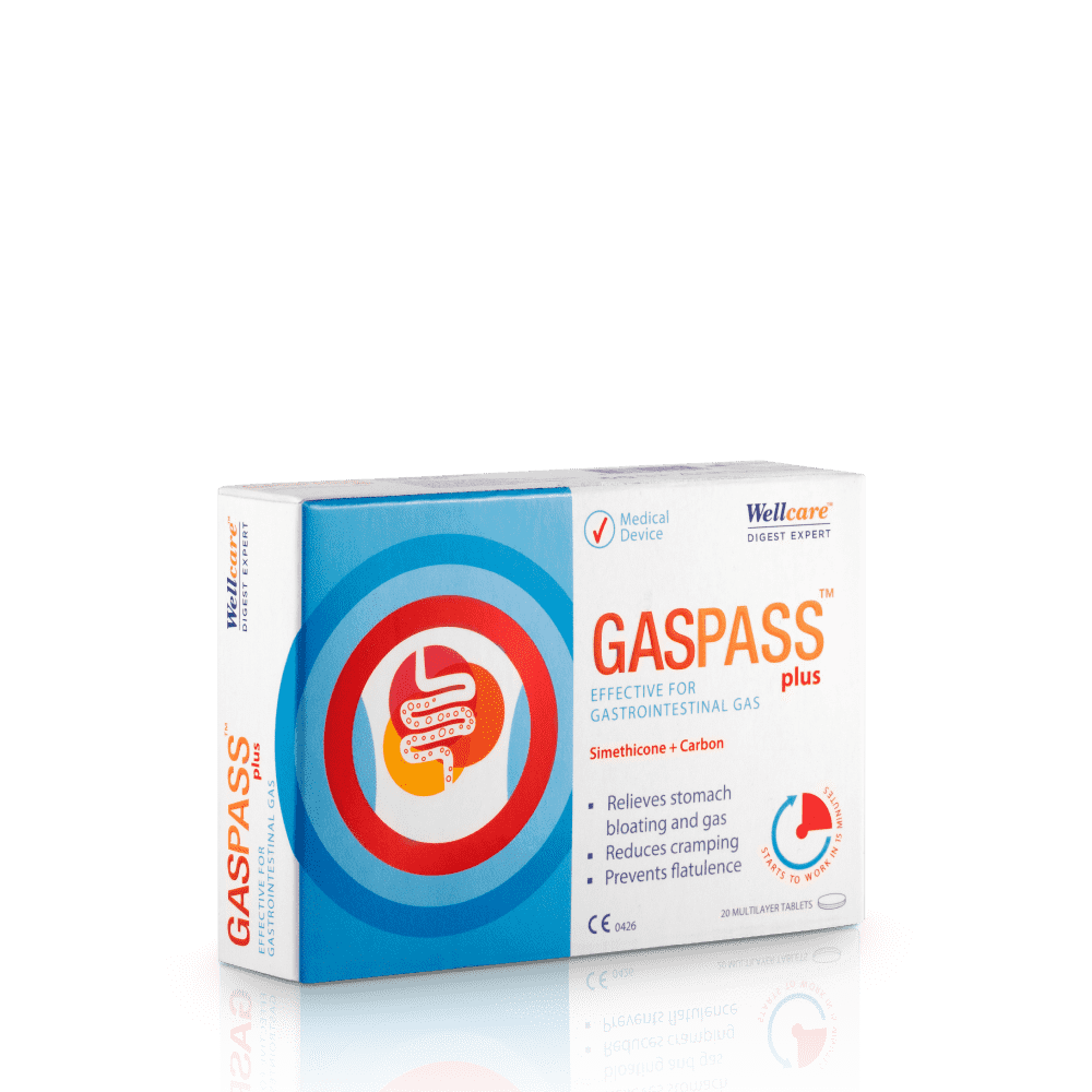 Wellcare Gaspass Plus 20 Tablet