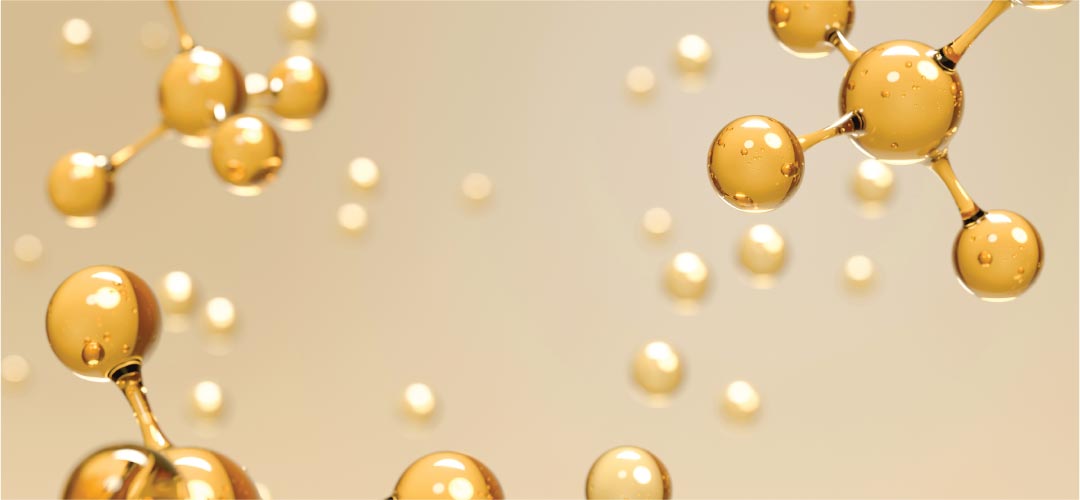 MFM NUTRACEUTICALS